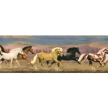 Vintage Wild Stallion Wallpaper Border