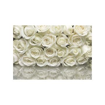 A la Rose 8 Panel Off White Mural