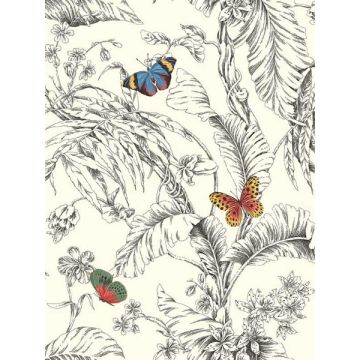 Papillon Primary Wallpaper