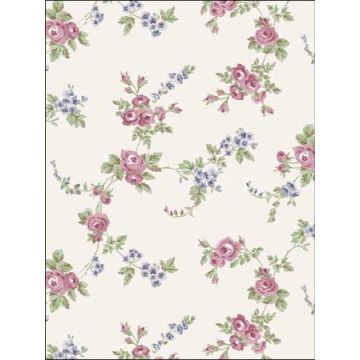 Chic Rose Plum Burgundy Rose Grey Blue Wallpaper
