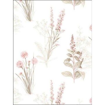 Flora Pink Khaki Grey Wallpaper