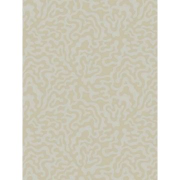 Nebulous Cloud Grey and Gold Wallpaper