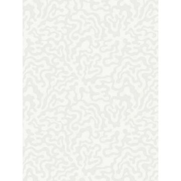 Nebulous Cloud Dove Grey Wallpaper