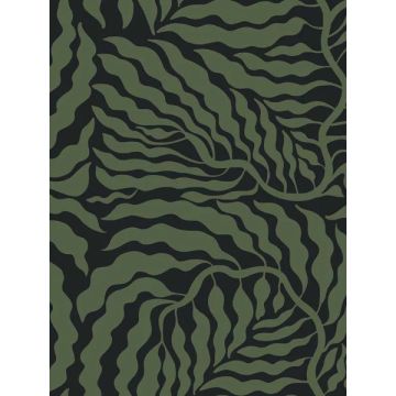 Fern Fronds Black and Green Wallpaper