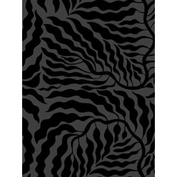 Fern Fronds Black Wallpaper