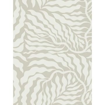 Fern Fronds Taupe and White Wallpaper