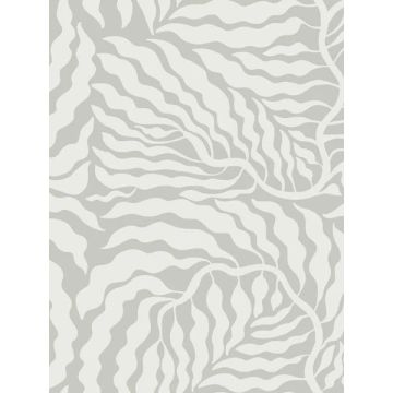 Fern Fronds Grey and White Wallpaper