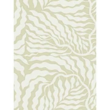 Fern Fronds Light Green and White Wallpaper