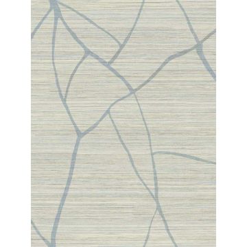 Raska Smokey Blue Wallpaper