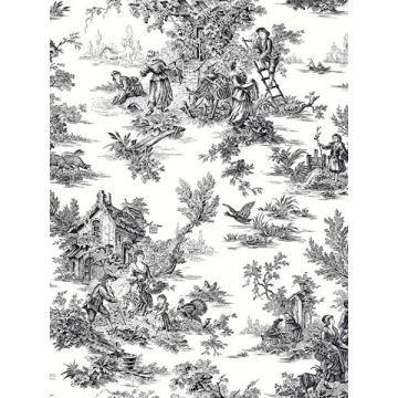 Campagne Toile Black and White Wallpaper