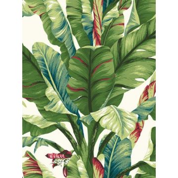 Banana Leaf Aqua and Red Wallpaper