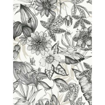 Rainforest White and Charcoal Wallpaper