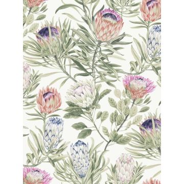 Protea White and Fuchsia Wallpaper