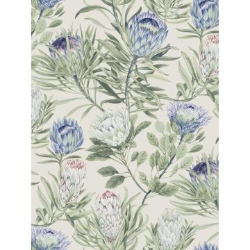 Protea Cream and Blue Wallpaper