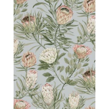 Protea Dusty Blue and Coral Wallpaper