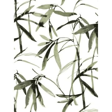 Bamboo Ink Green and Black Wallpaper