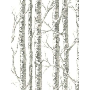 Paper Birch White and Grey Wallpaper