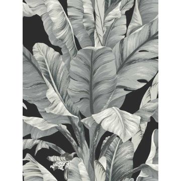 Banana Leaf Black and White Wallpaper