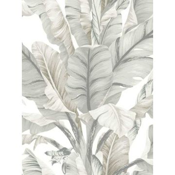 Banana Leaf White and Cream Wallpaper