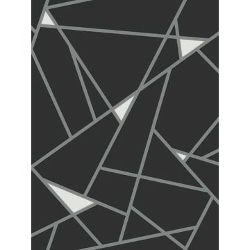 Prismatic Black and Silver Wallpaper
