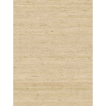 Arrowroot Cream Wallpaper