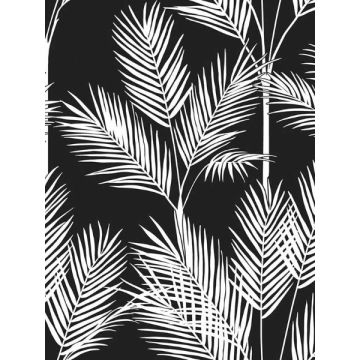 King Palm Silhouette Blue Wallpaper