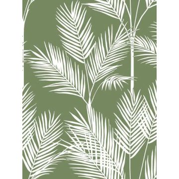 King Palm Silhouette Green Wallpaper