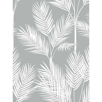 King Palm Silhouette Grey Wallpaper