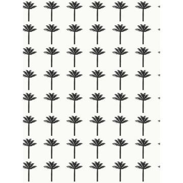 Palm Bay Black Wallpaper