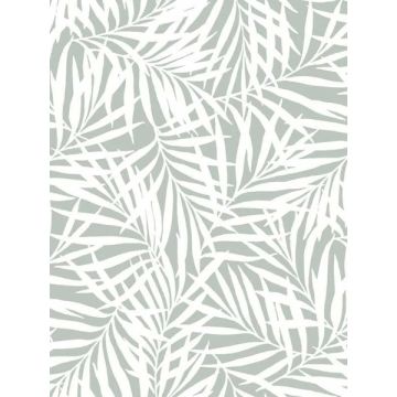 Oahu Fronds Light Green and White Wallpaper