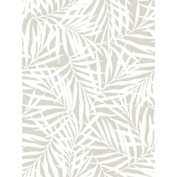 Oahu Fronds Cream and Off White Wallpaper