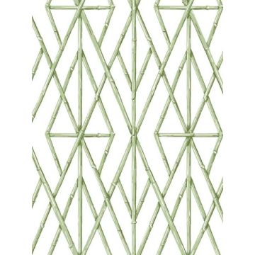 Riviera Bamboo Trellis Green Wallpaper