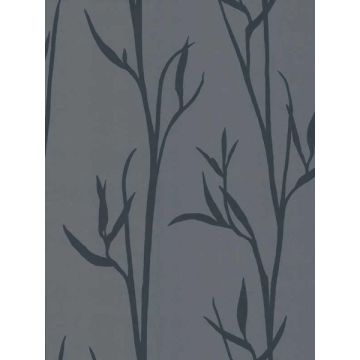 Matcha Blue Wallpaper