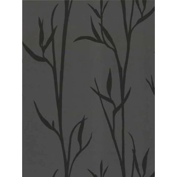Matcha Black Wallpaper