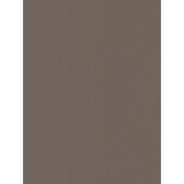 Radiant Juniper Brown Wallpaper