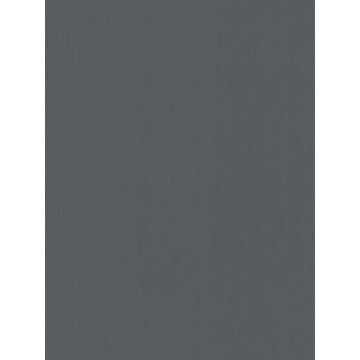 Radiant Juniper Black Wallpaper