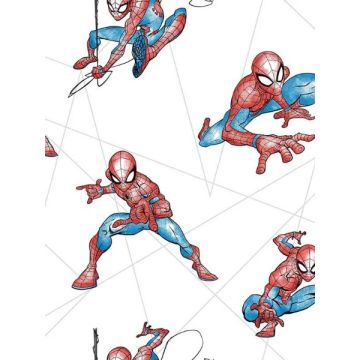 Spider Man Fracture Blue and Grey Wallpaper