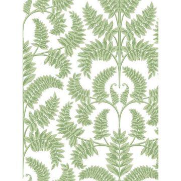 Royal Fern Damask Green Wallpaper