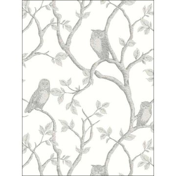Enchanted Forest Owl and Tree Grey Wallpaper