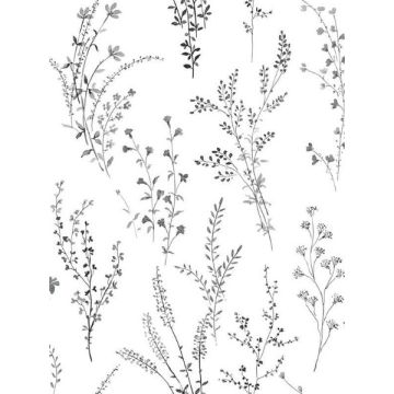 Wildflower Sprigs Black and White Wallpaper
