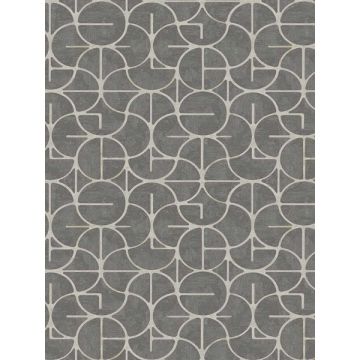 Looking Glass Charcoal Wallpaper
