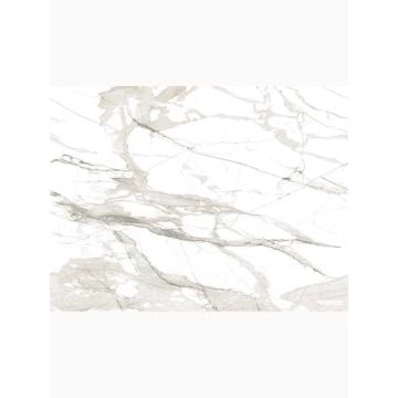 Imperial Marble Neutral Mural