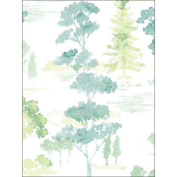 Forest Green Wallpaper
