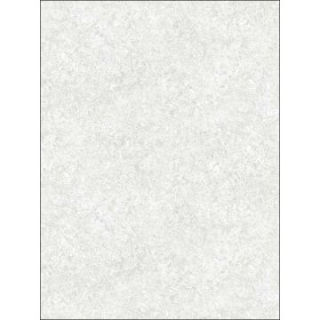 Watermark Taupe Stone Grey Wallpaper