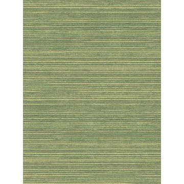 Imitation Grasscloth Shades of Green Wallpaper