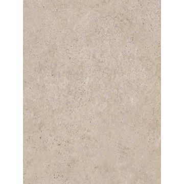 Sandstone Brown Wallpaper