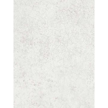 Sandstone Griege Wallpaper