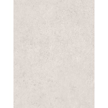 Sandstone Taupe Wallpaper