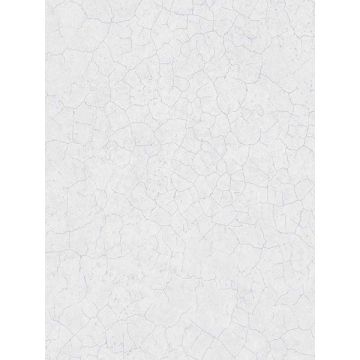 Sandstone Grey Metallic Silver Wallpaper