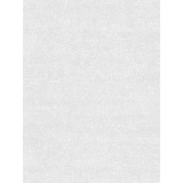 Micro Texture Oqaque Grey Wallpaper